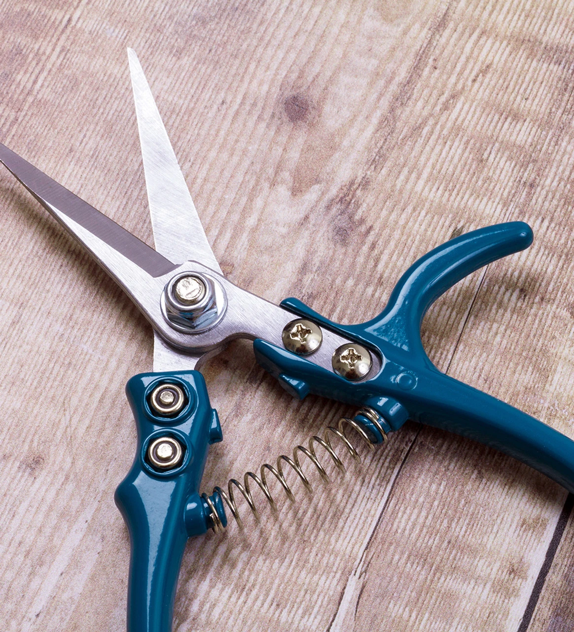 Sarah Raven Ergo Snips - Image 4