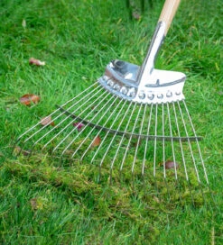 Lawn Rake