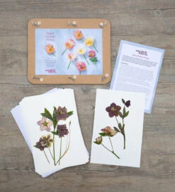 Sarah Raven Giant Flower Press