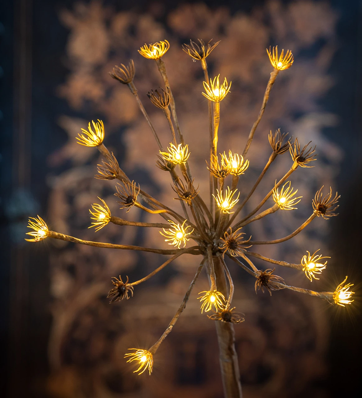 Solar Hogweed Stem - Image 2