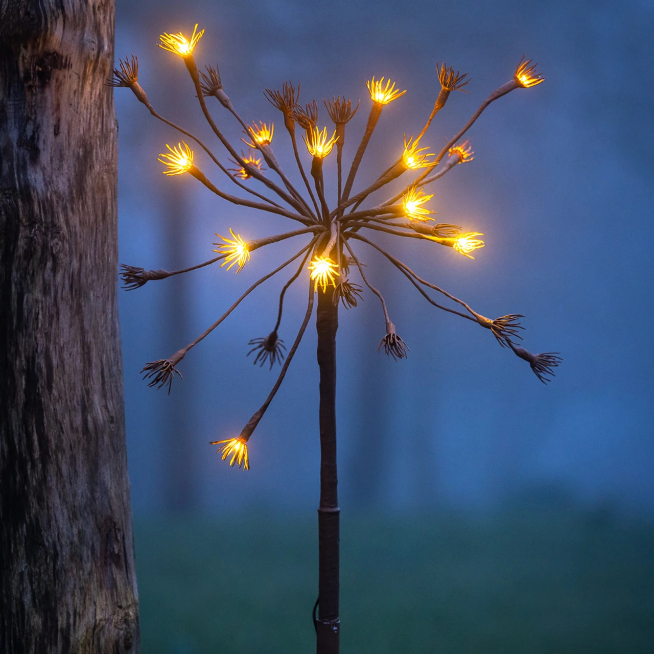 Solar Hogweed Stem - Image 3