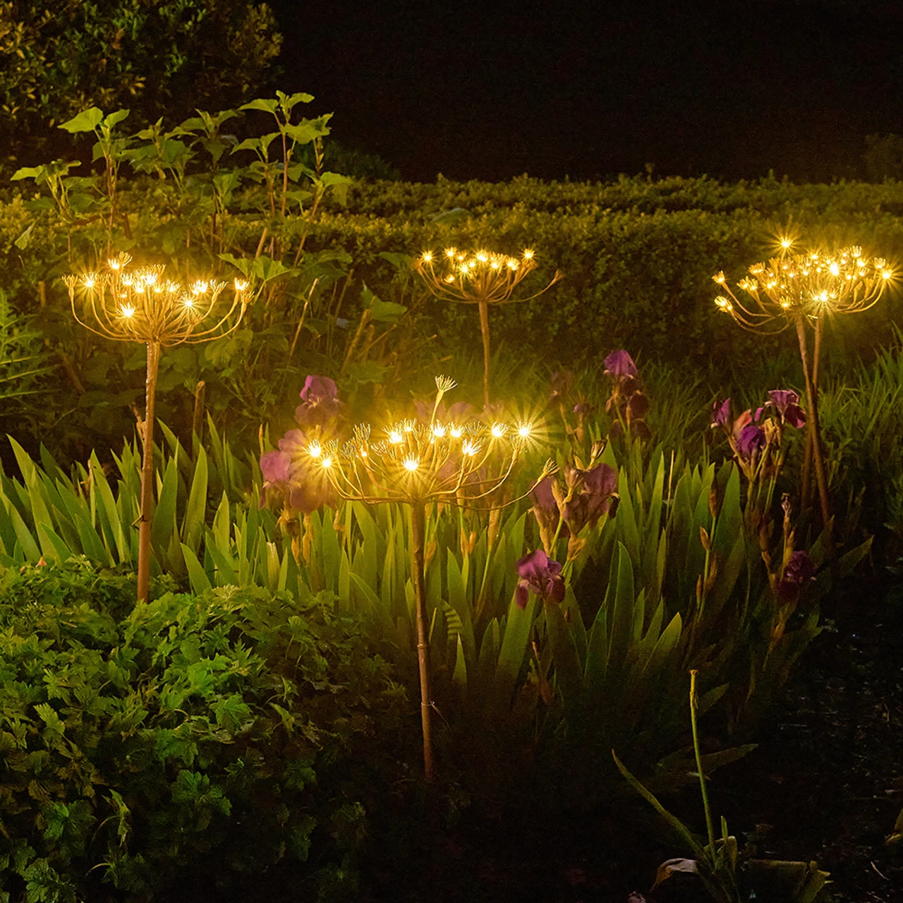 Solar Hogweed Stem - Image 5