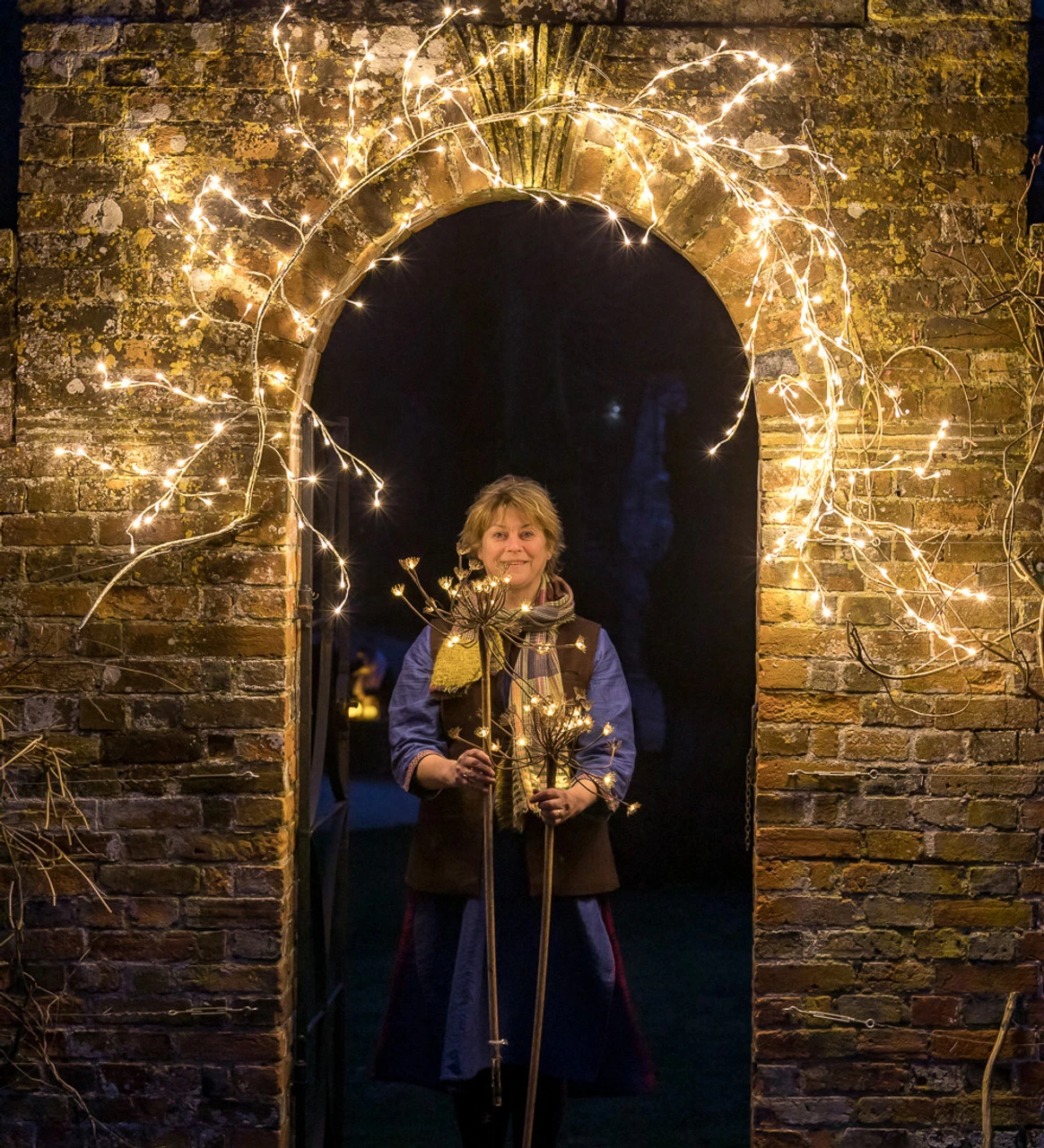 Solar Hogweed Stem - Image 4
