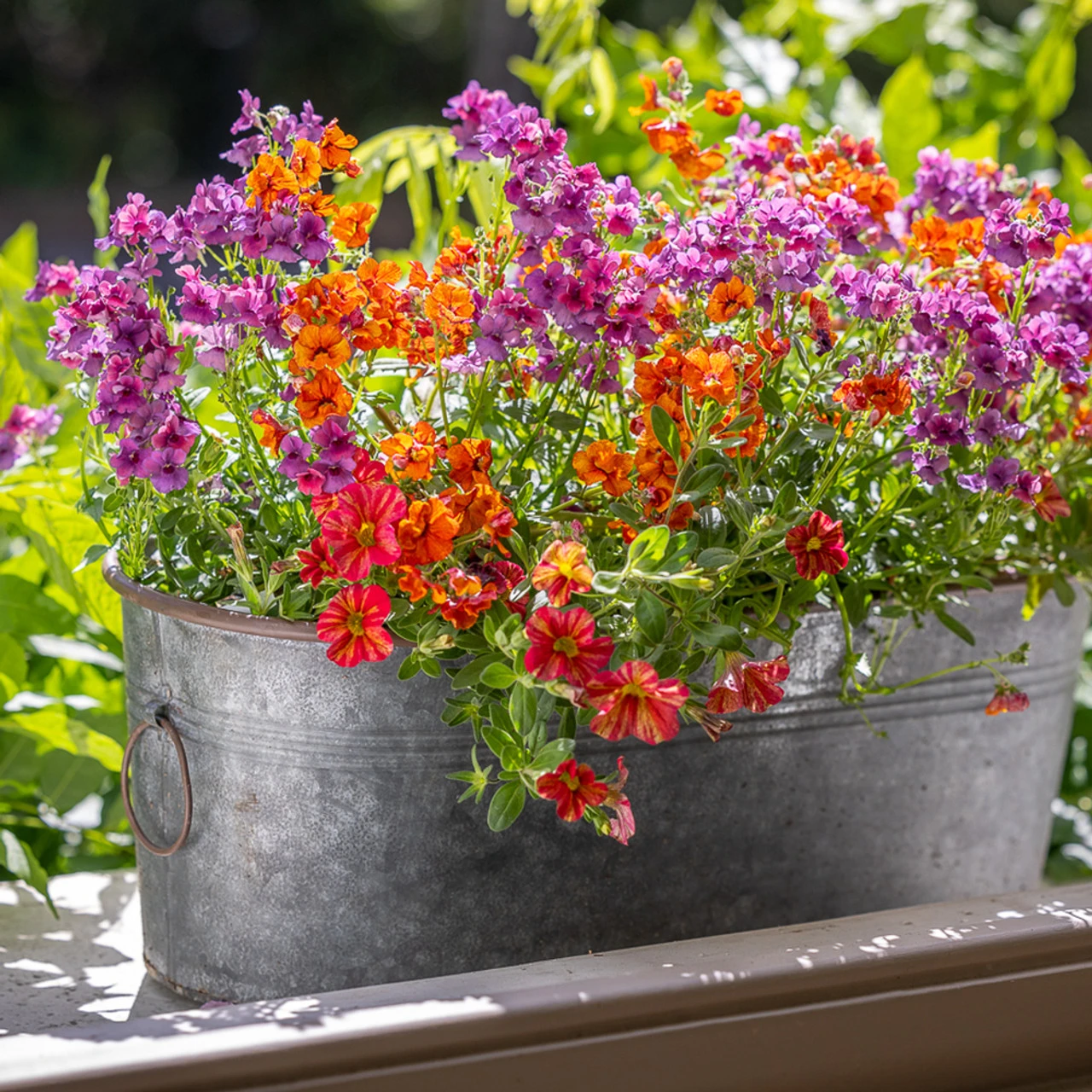 Summer Fruit Salad Container Collection - Image 2